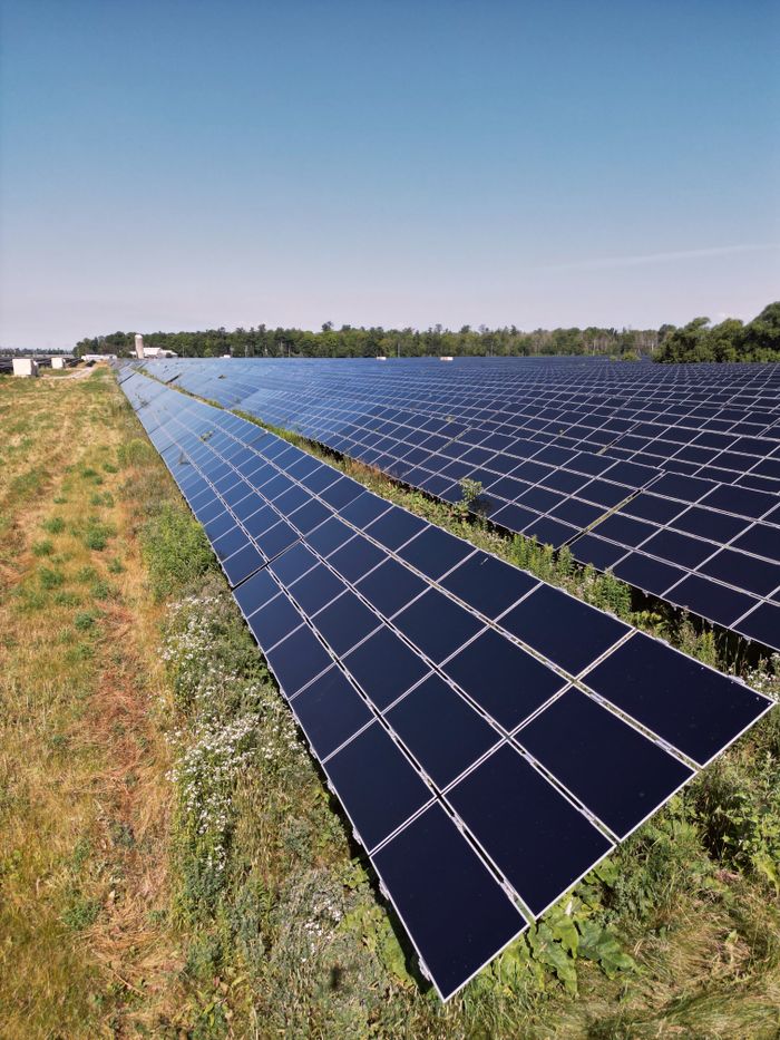 gallery-2 Wide view of a solar panel farm under a clear blue sky in Mississippi Mills, ON, promoting renewable energy.